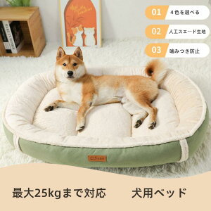 y|Cg5{zAhbOxbh ybgxbhAybgnEX ۉpbhAg}bg pxbhhbO}bg p}bg pQ lp 􂦂 ^ ^pnEX A