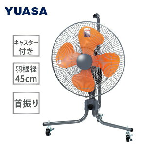 YUASA AT 45cmLX^[ttA[H YFC-458T tA@ ^@ HƐ@ Cz H@ T[}veN^[ LX^[t C ΍   q H 