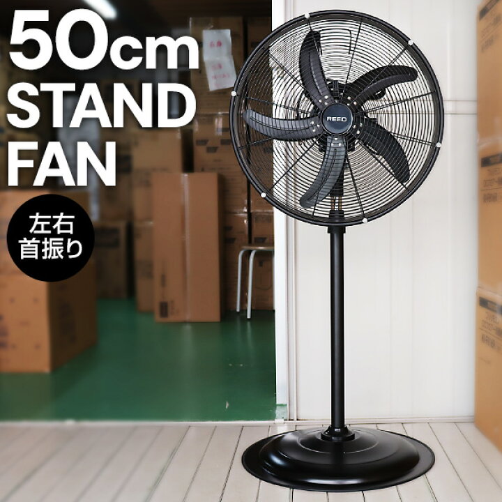 楽天市場】ReeD 50cm左右首振り 強力風 スタンドファン RD-HYS50-BK 