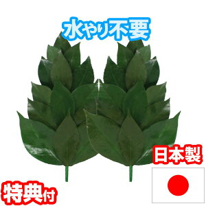 vU[uh SSTCY FS-001SS sv OgY ֗t  vU[uhH  ~jTCY Y _Ip _lI  TJL vU[uht[ OCt