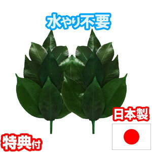 vU[uh STCY FS-002S sv OgY ֗t  _lI  TJL vU[uhH  ~jTCY Y _Ip vU[uht[ OCt