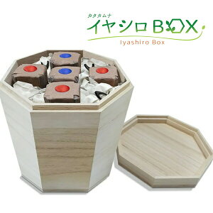 jJ J^Ji CVBOX p^˔ ێR搶JV[Y _b̊ՃJ^JiCV` PJ` P yn   ⋭ VzZ ێR搶 ێRC J^Ji CV{b