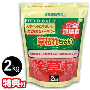 { S_  ͂ꂿ 2kg _򏜑 ꂿ 2L _knp  _  V Ώ Hn ڒn | G ܂Ō͂炷 ʒ VRf y