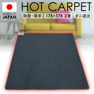 TEKNOS テクノス 日本製 防音厚手ホットカーペット TWB-2500J 175×175cm 2畳用 ホットカーペット 本体 …