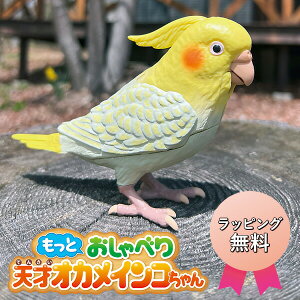 yIԌii+bsOz Ƃׂ V˃IJCR ׂ V˃CR Fl` bl` ׂ胍{bg ybg  CR ׂl` V˃C