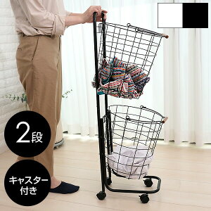 ی`h[bN 2i TAN-217-2 h[oXPbg 󂩂 Eh h[[ LX^[t C[oXPbg h[S t h[bN h[{