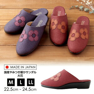 Y݂gT_  t[ { T_ ԕ N ۂۂ fB[X ~p  L 4E   M L LL T_ ~ T_ |J|J