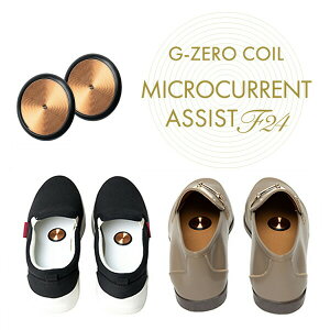 yIԌiiz G-ZERO COIL W[[RC }CNJg AVXgF24 Cɓ\ [ GHE-G04 W[[RC dgJbg C  L G[ C\[ ̓d GlM[ p[  
