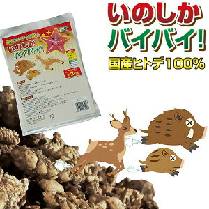 {  Qb쏜 Yqgf100 ̂oCoCI 300g    ΍ hpi hbpi pi  qgf h hb Q Qb  ̂΂΂ Q Qb Q