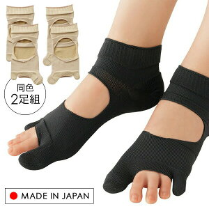 yIԌiiz 2Zbg C_C { NNOT|[^[ EZbg 2g C  T|[^[ O \h  C G \bNX  T|[^[ 