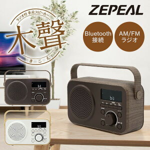 yIԌiiz [s[ WIt茳Xs[J[ er   DTS-WS230 erp CX Xs[J[ WI 茳Xs[J[ Bluetooth u[gD[X  DTSWS230 Xs[J[ e