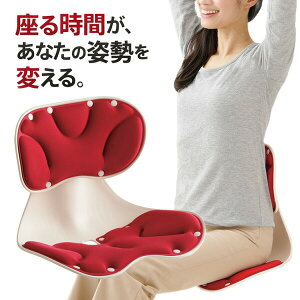 勝野式 座椅子」の人気商品一覧・価格比較 - 価格.com