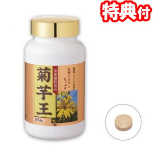 t e 465  nH@ۃCkz h{⏕Hi Tvg NHi