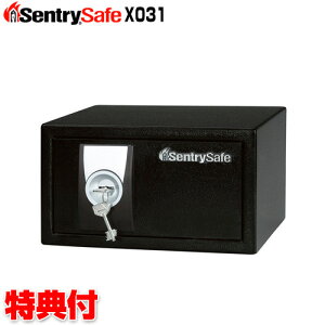 Zg[ ZLeBۊǌ X031 ƒp z[ p[\iZLeB[Z[tV[Y X-031 Z[teB{bNX  ۊǌ SentrySafe   z[   rWlX 