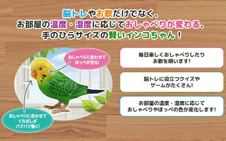 楽天市場 在庫あり 毎日おしゃべり 天才インコちゃん 音声認識人形 お話し人形 おしゃべりロボット 毎日お喋り しゃべる人形 天才インコチャン おもちゃ 誕生日 プレゼント 敬老の日 ギフト 脳トレ 日本通販 扇風機 冷風扇 家電