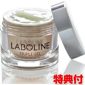 {C gvQ 60g I[CWF I[Cϕi @\WF  ϐ et N[   {  fB[X   l