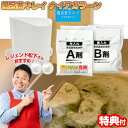 TVで紹介 風呂釜キレイ ナイアガラーン 豪華2回分 風呂釜洗浄剤 風呂釜洗浄機 配管洗浄 風呂釜綺麗 ナイアガラン 配管…