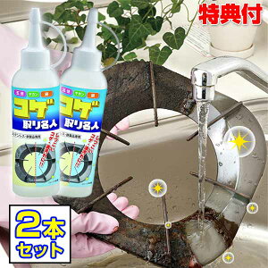 RQ薼l Lb` 150ml y2{Zbgz Ƃ pN[i[ ł Ƃ RQƂ ł薼l tCp  Ă R A~ Ƃ 薼l Lb`