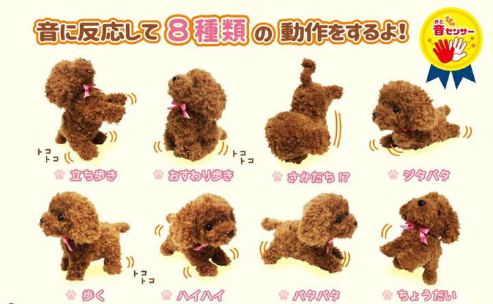 楽天市場】《在庫あり》元気な仔犬 トイプードルのショコラちゃん 《包装無料》 ワンちゃん トイプードル ショコラちゃん 動くぬいぐるみ トイプードル トイプー ぬいぐるみ 犬のぬいぐるみ ペットおもちゃ 子犬 お休みワンちゃん : 日本通販 (扇風機 冷風扇 家電) 楽天市場】《在庫あり》元気な仔犬 トイプードルのショコラちゃん 《包装無料》 ワンちゃん トイプードル ショコラちゃん 動くぬいぐるみ トイプードル トイプー ぬいぐるみ 犬のぬいぐるみ ペットおもちゃ 子犬 お休みワンちゃん : 日本通販 (扇風機 冷風扇 家電)