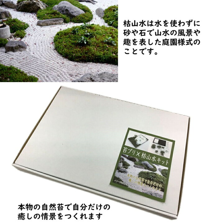 楽天市場 苔プリ 枯山水キット かれさんすい プリザーブド加工 苔 ミニチュア 庭園 置物 枯山水 アート 盆栽 苔 枯山水 自作 日本庭園 瞑想 癒し 安らぎ リラックス ミニチュア お土産 プレゼント 日本通販 扇風機 冷風扇 家電