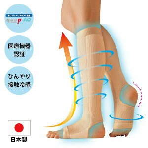 Lbƈʈ×pT|[^[ 1gi2j { Ë@F ƒp { T|[^[ ӂ͂T|[^[ T|[^[ Lbg  Ë@F  r ӂ