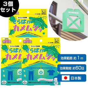 !!JVb 3Zbg JV JV Op JV ݂艺 3 EXv[ JVN h~ \h    x_   ΂߂ނ T