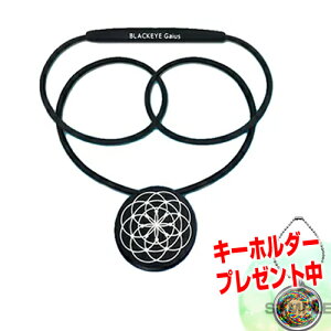 stL[z_[t ubNAC KCAXlbNX r[Ńq[OL[z_[t wێRRClbNX BLACK EYE Gaius Ji}`fUC jp NAN