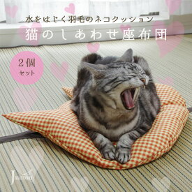 猫 クッション 座布団 ベッド ネコ ペット 犬 2個セット 撥水性 耐久性 爪で破れにくい 通気性 洗える 拭き取れる 厚手 丈夫 かわいい ギンガムチェック オールシーズン ふわふわ リサイクルダウン エシカル プレゼント 贈り物 誕生日 クリスマス 帰省