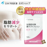 W脂肪対策 腸ラクトフェリン 【30日分】 120粒ラクトフェリン300mg ブラックジンジャーエキス 腸溶性 機…
