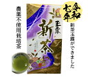 新茶【2025年　新茶玉露】農薬不使用茶、新茶キャンペーン送料無料、50g新茶、日本茶、茶葉、和束茶、