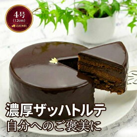お祝い ギフト お返し 【 クーポン配布中 】 ザッハトルテ 4号 チョコレートケーキ お返し スイーツ ケーキ 濃厚 自分へのご褒美 ギフト 2026 プレゼント お取り寄せ 冷凍 菜菓亭 贈り物 卒業 入学 祝い ガトーショコラ 贈り物 予約 誕生日 スイーツ