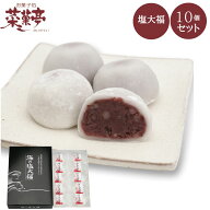 【 クーポン配布中 】 塩大福 10個入 大福 個包装 ホワイトデー お返し 和菓子 スイーツ 和スイーツ ギフ…