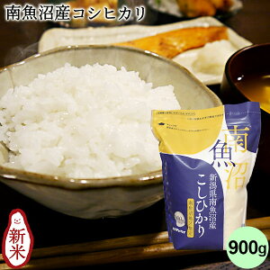 싛YRVqJ 900g b  RVqJ RVqJV Ђ  `bNtpbN 6  VN  uh Mtg j Ԃ j i 蕨 v[g 