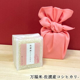 万福米 佐渡産コシヒカリ 真空パック 300g ｜米 2合 コシヒカリ お米 コシヒカリ新潟 こしひかり 白米 ギフト 新潟 内祝い 出産内祝い 結婚内祝い お返し 快気祝い 出産祝い 結婚祝い 贈答品 贈り物 プレゼント 賞品 景品 お礼 令和7年産