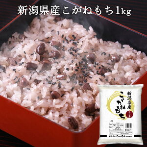 VY˂  1kg b  G  Ԕ  Y uh Mtg j Ԃ j i 蕨 v[g ܕi ii  ߘa7NY