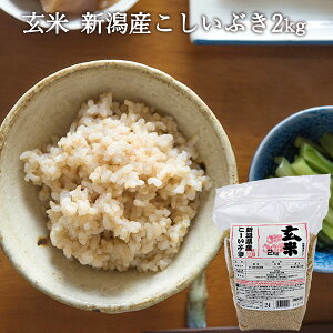 yߘa7NYzVYԂ  2kg b  2kg  G pbN Y uh Mtg j Ԃ j i 蕨 v[g ܕi ii 