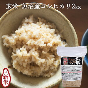 YRVqJ  2kg b  2kg  RVqJV Ђ V G pbN Y uh Mtg j Ԃ j i 蕨 v[g ܕi ii 