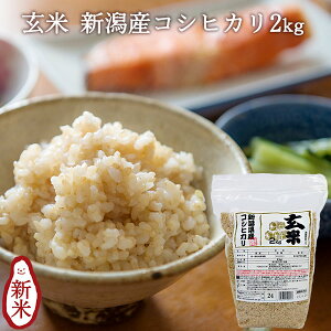 yߘa7NYVāzVYRVqJ  2kg b  2kg  RVqJV Ђ G pbN Y uh Mtg j Ԃ j i 蕨 v[g 