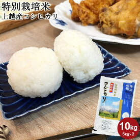 特別栽培米 上越産コシヒカリ 10kg(5kg×2) ｜ 米 お米 10kg コシヒカリ新潟 送料無料 こしひかり 白米 新潟 減農薬 減化学肥料 ギフト 内祝い お返し お祝い 贈答品 贈り物 プレゼント 賞品 景品 お礼