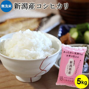 y󂠂菤i4,120~2,678~zȂقۃIWi  VYRVqJ 5kg b 5kg   RVqJV Ђ   V YRVqJ Z[i 