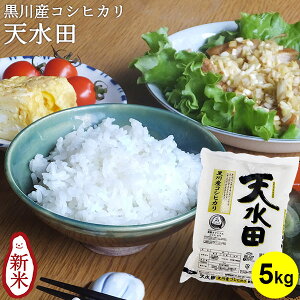 黒川産コシヒカリ 天水田 |米 お米 5kg 送料無料 コシヒカリ新潟 こしひかり 白米 新潟 棚田 ギフト 内祝い お返し お祝い 贈答品 贈り物 プレゼント 賞品 景品 お礼 令和7年産