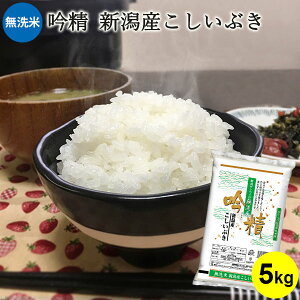 yߘa7NYVāz ᐸ VYԂb  5kg   RVCuLV Ԃ  V rh~ GR Mtg j Ԃ j i 蕨 v[