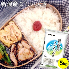 【29%OFF★スーパーSALE】 令和7年産 新潟産 こしいぶき 5kg 5キロ 米5kg 送料無料 米 お米 白米 冷めても美味しい あっさり お弁当 おにぎり 期間限定 大特価 スーパーセール 特値 安い お一人様2袋まで 新潟米 新潟 ギフト 御中元 内祝い 御祝 コシイブキ いなほんぽ