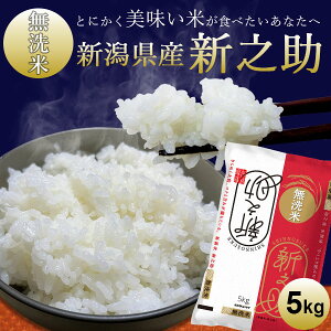 VYVVyāzb 5kg    RVqJV  ̂ V uh 킸ɐ Mtg j Ԃ j i 蕨