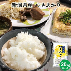 �y�|�C���g2�{��7/26�܂�!!�z�y���������z �V�����Y �������� 5kg �ߘa7�N�Y ���� �� ���� 5�L�� ���� ���� ���͂� ����p �M�t�g �d���� ���Ȃق�� �V�� �I�[���}�C�e�B �嗱�Ŕ��������V��