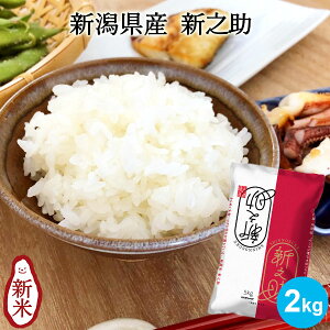 yߘa7NYVāzVYVV 2kg b  2kg  VVV VV  ̂ V uh Mtg j Ԃ j i 蕨 v[g ܕi ii 