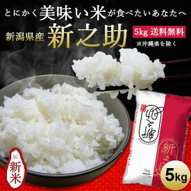 【令和7年産】新潟産新之助 ｜米 5kg 送料無料 新潟 白米 お米 しんのすけ 新潟 ブランド米 ギフト 内祝 お返し お祝 贈答品 贈り物 プレゼント 賞品 景品 お礼