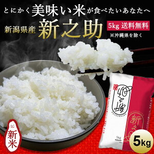 yߘa7NYVāzVYVV b 5kg  V   ̂ V uh Mtg j Ԃ j i 蕨 v[g ܕi ii 