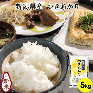 yߘa7NYVāzVY b  5kg  V   V p d I[}CeB 嗱 mH 