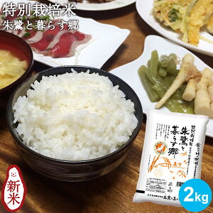 yߘa7NYVāzʍ͔| ƕ炷 2kg b  2kg  RVqJV Ђ  nYRVqJ V Mtg j Ԃ j i 蕨 v[g 